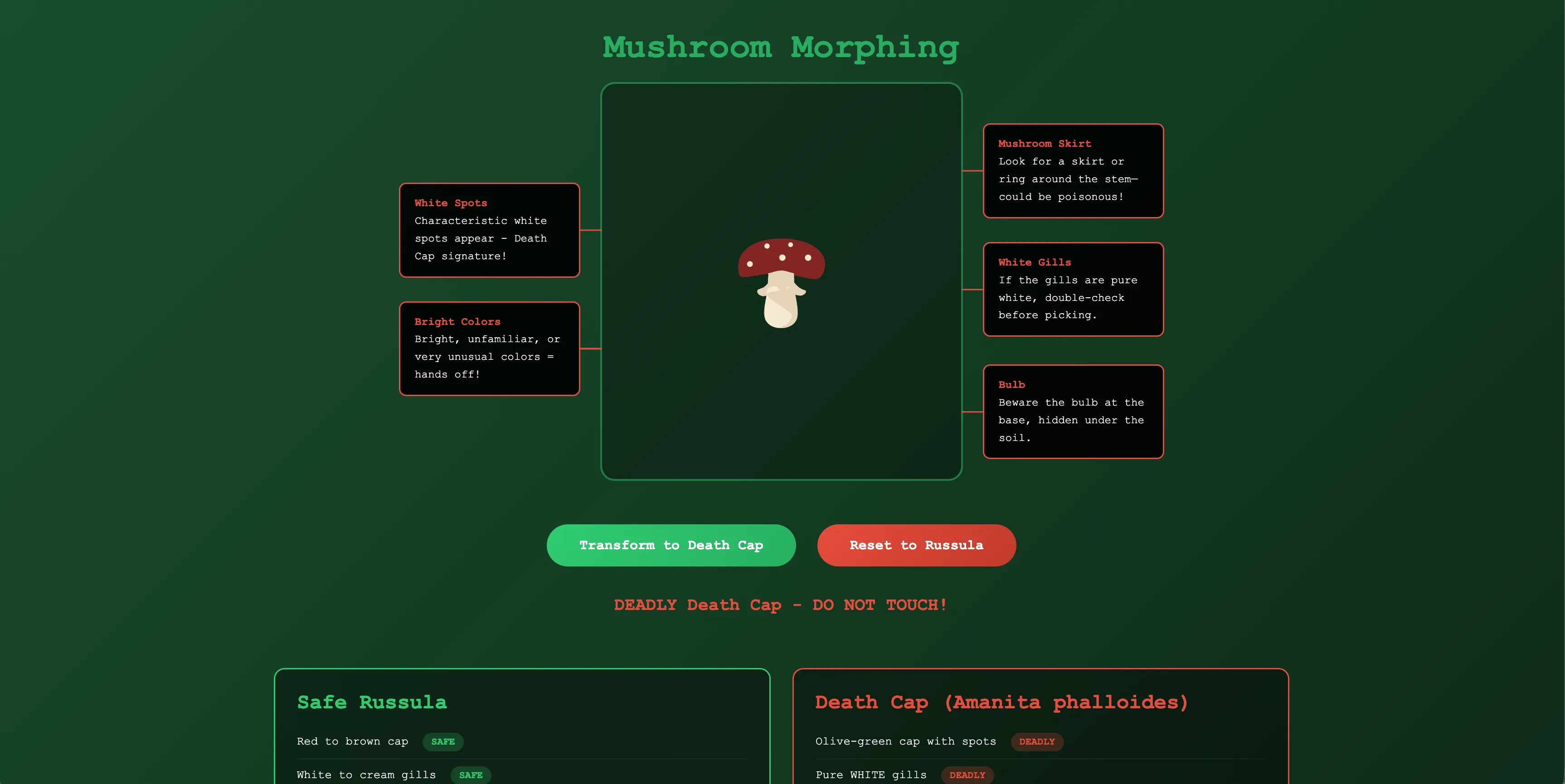 Morphing Mushroom