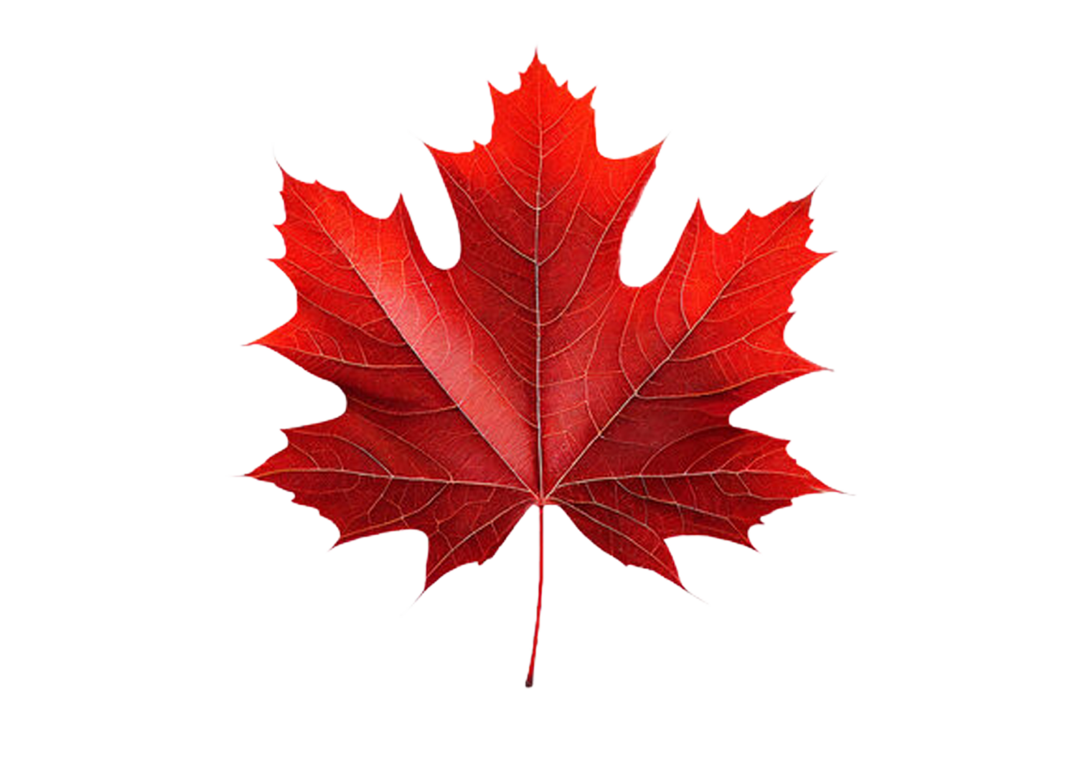 leaf1